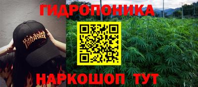 спиды Краснознаменск