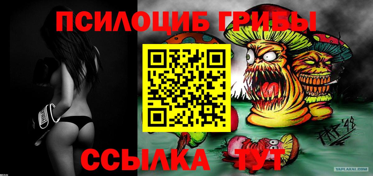 Жуковский  Галлюциногенные грибы мицелий  Вход с VPN  Галлюциногенные грибы Psilocybe 
